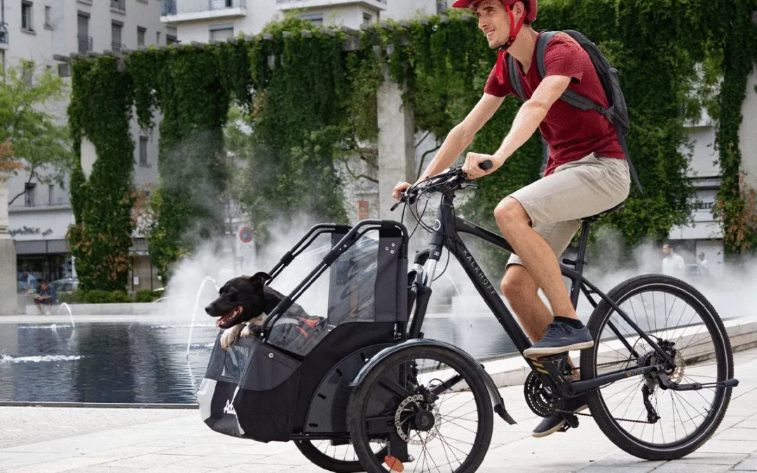 Three wheel electric bike: mixture between e-bike and tricycle
