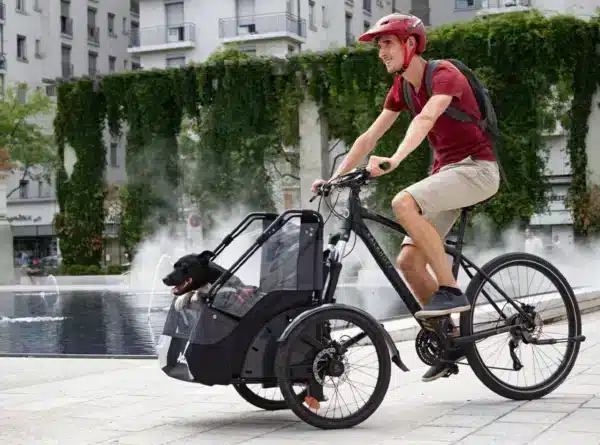 vélo pour chien_Faire du sport avec son vélo et son chien