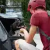vélo pour chien_Partager des moments avec son chien