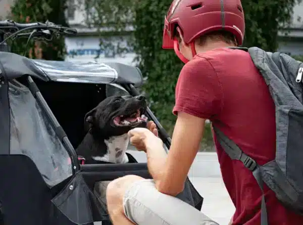 vélo pour chien_Partager des moments avec son chien