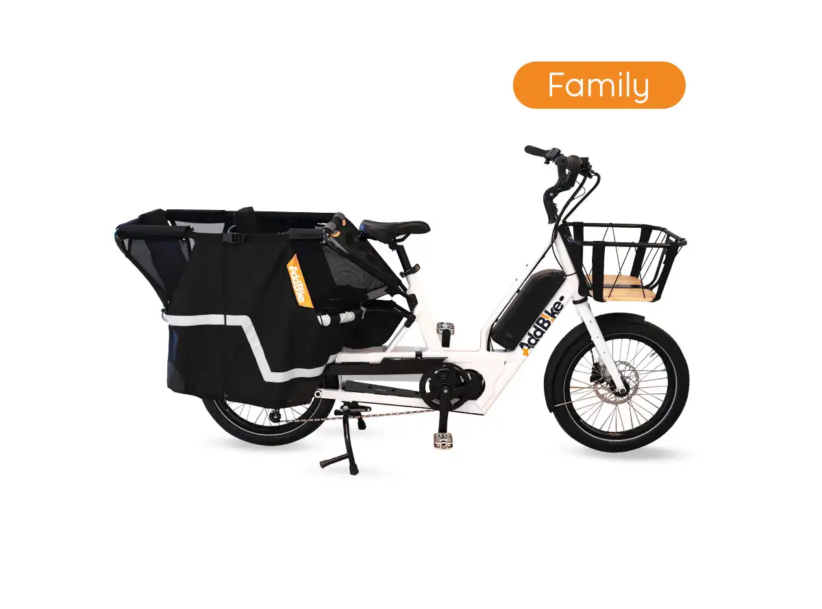 If you don't want a 3 wheel motorized bike, use the U-Cargo Family