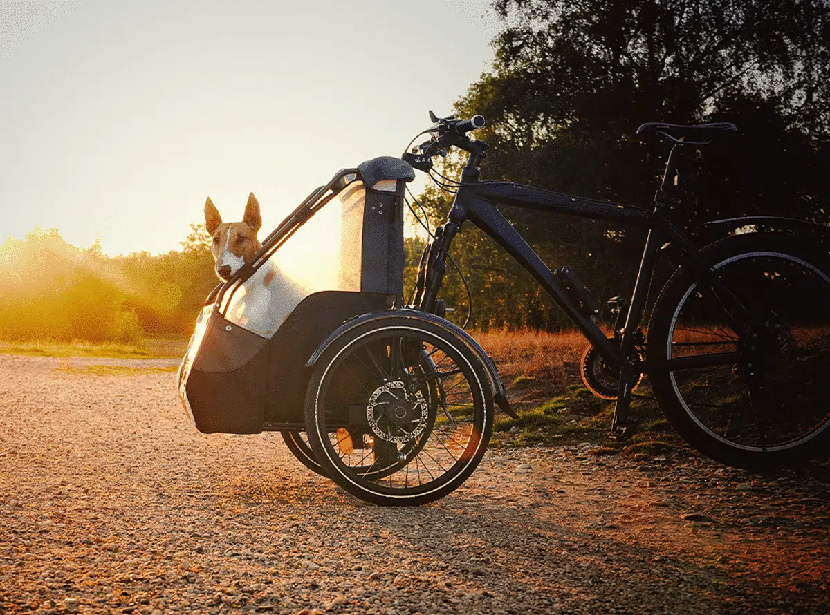 Walk your dog by bike thanks to the Front dog trailer