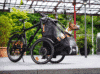 Ihren Hund mit dem Fahrrad transportieren