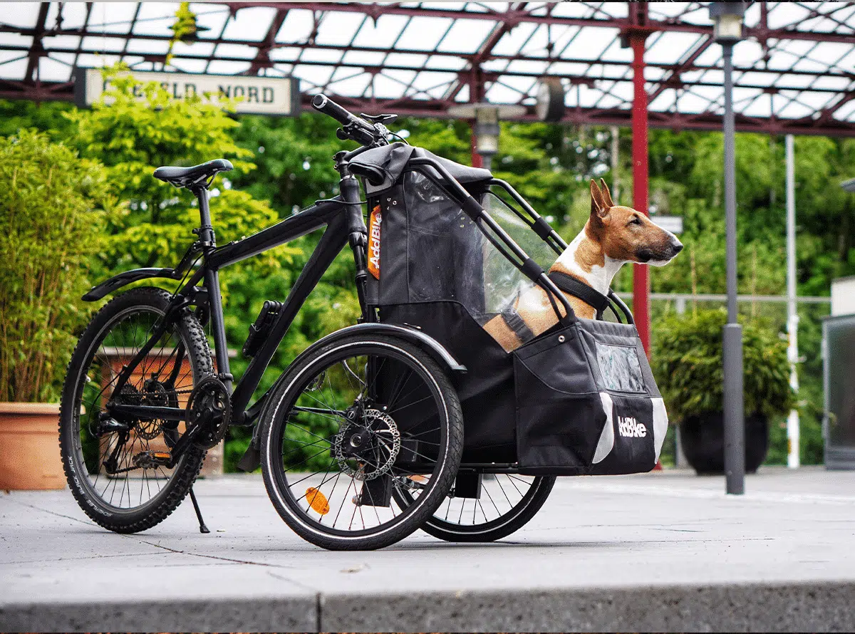 Front dog trailer cycling with your pet