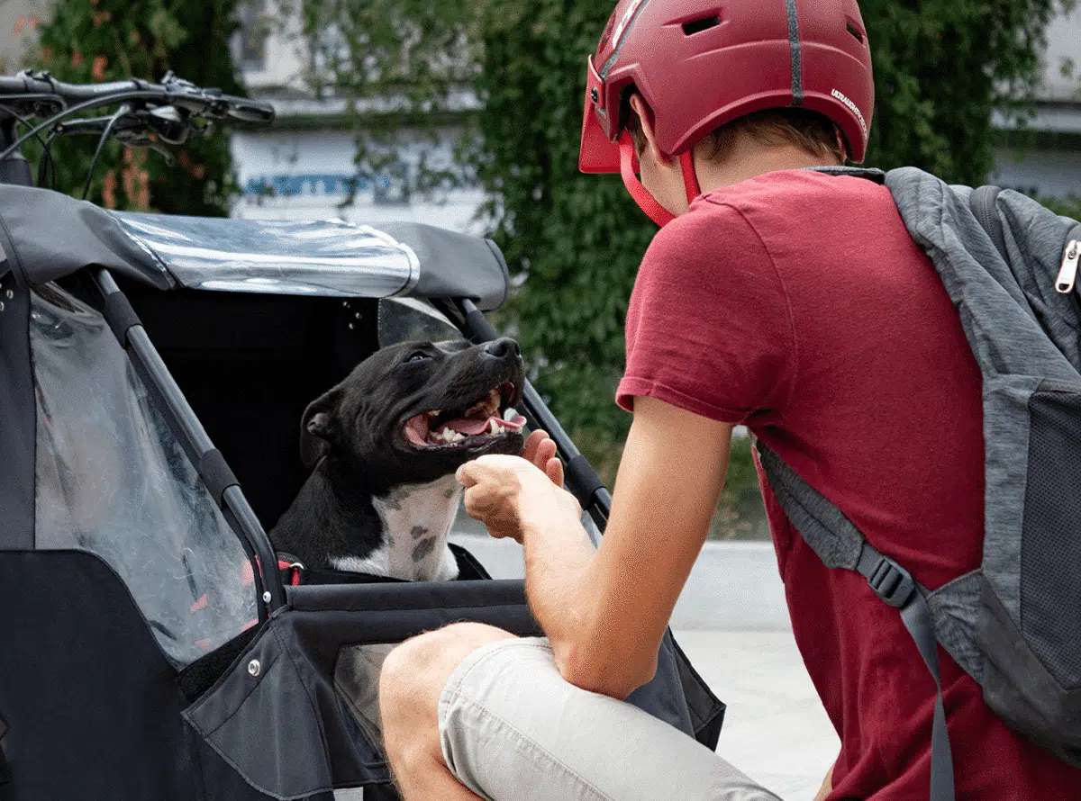 Share special moments with your pet by travelling together with the Front dog trailer