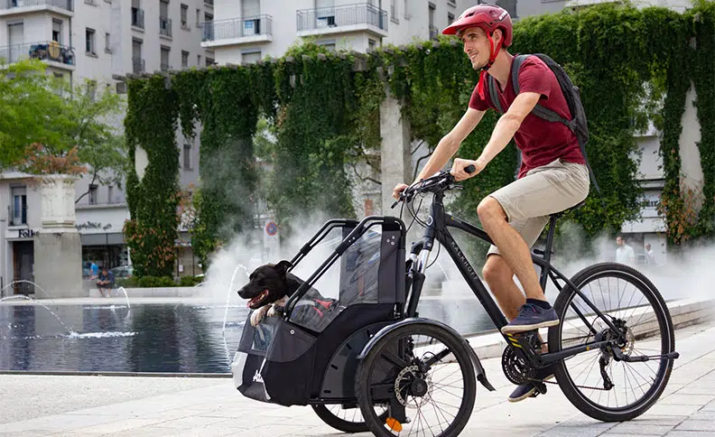 Try a module for your dog on your 3 wheel electric bike