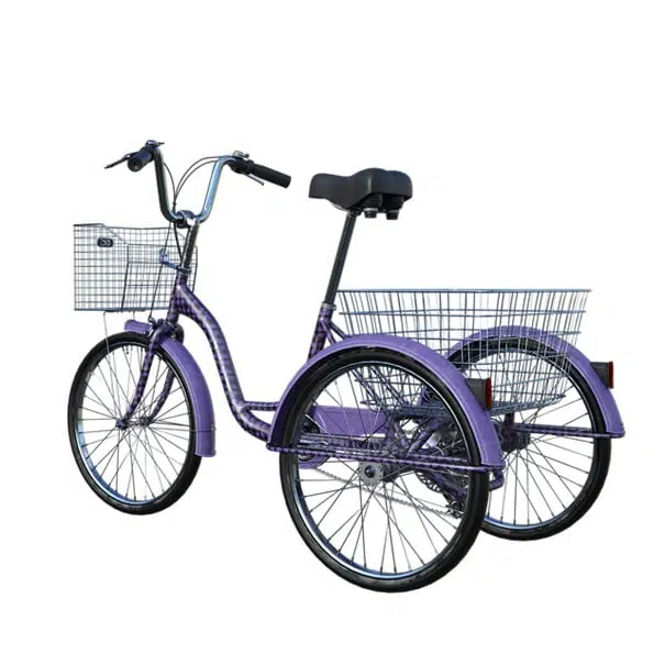 3 wheel bike classic model in purple