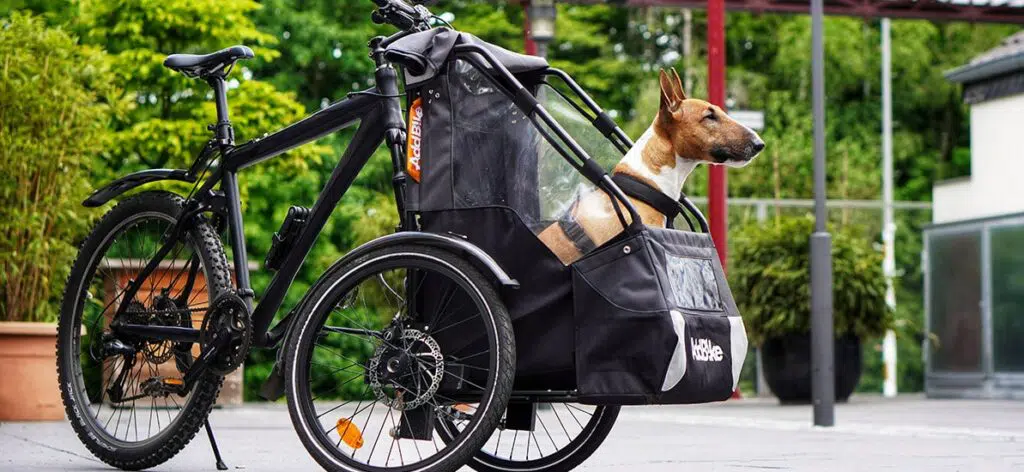 Dog Kit_Lastenrad, um einen Hund zu transportieren