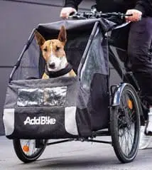 Three wheel bike Dog Kit transport dog in the city