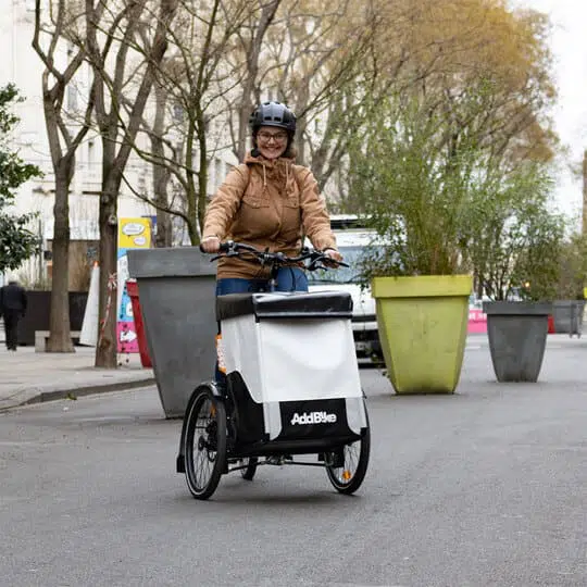 carrier bike ecomobility for transportation of dogs