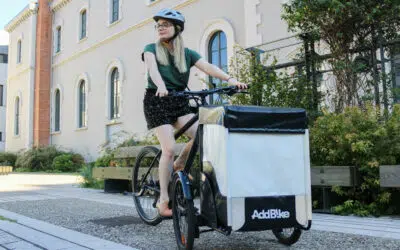 Electric tricycle for adults: a better option than a normal bike?