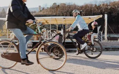 DIY cargo bike: how cargos improve your life & how to build one