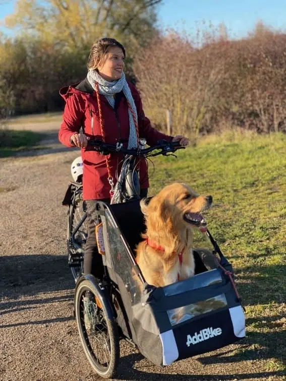 Hund Fahrrad mit seinem Frauchen
