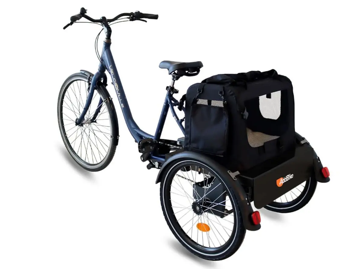B-Back_Modul für den Transport von Tieren auf einem dreirädrigen Fahrrad