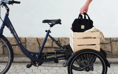 Tricycles for adults: 5 things to look for before buying