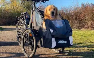 Hundetransport Fahrrad vorne: Für Ihren Urlaub oder im Alltag!