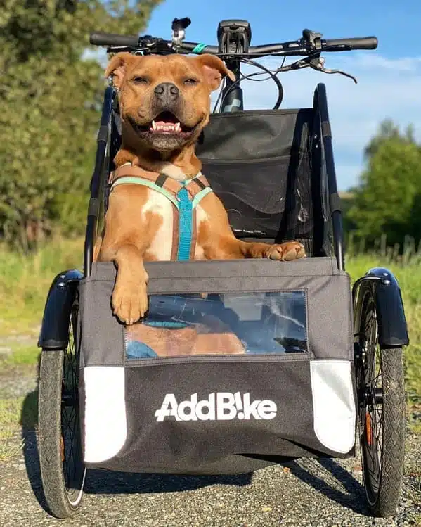 Hundetransport Fahrrad vorne Milow im Dog Kit