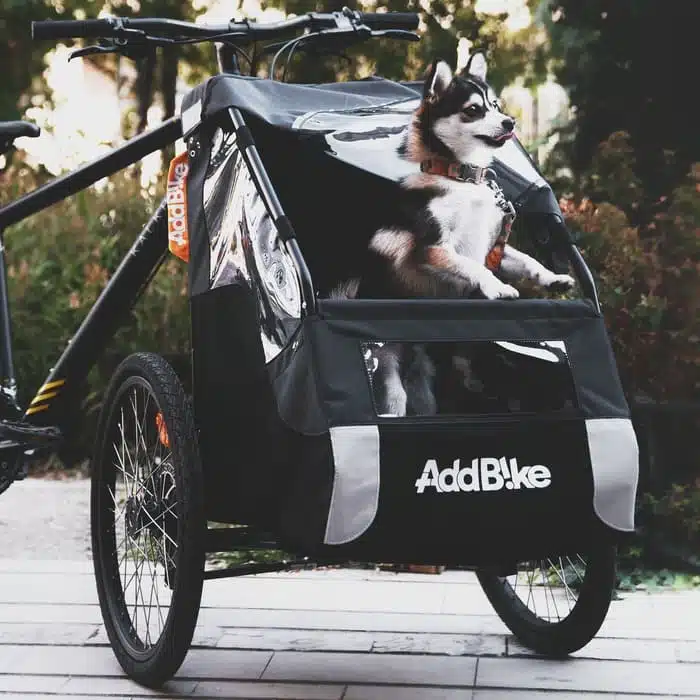 Magasin vélo cargo pour Kit Dog