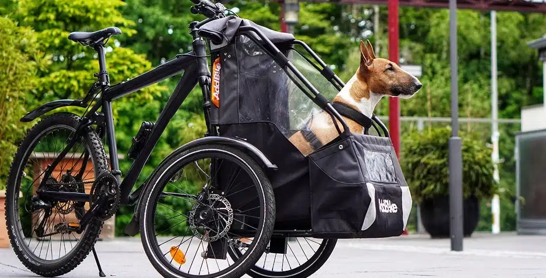 AddBike+ : la remorque velo qui s’adapte à vos besoins quotidiens