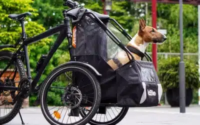 AddBike+ : la remorque velo qui s’adapte à vos besoins quotidiens