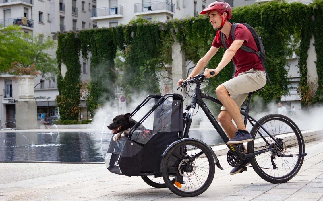 Adult tricycle for dogs transportation in the city - Dog Kit
