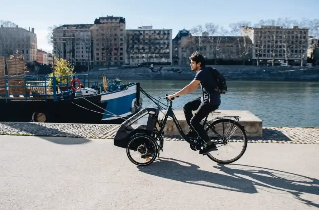Three wheel bike for adults and cargo bike: telling them apart