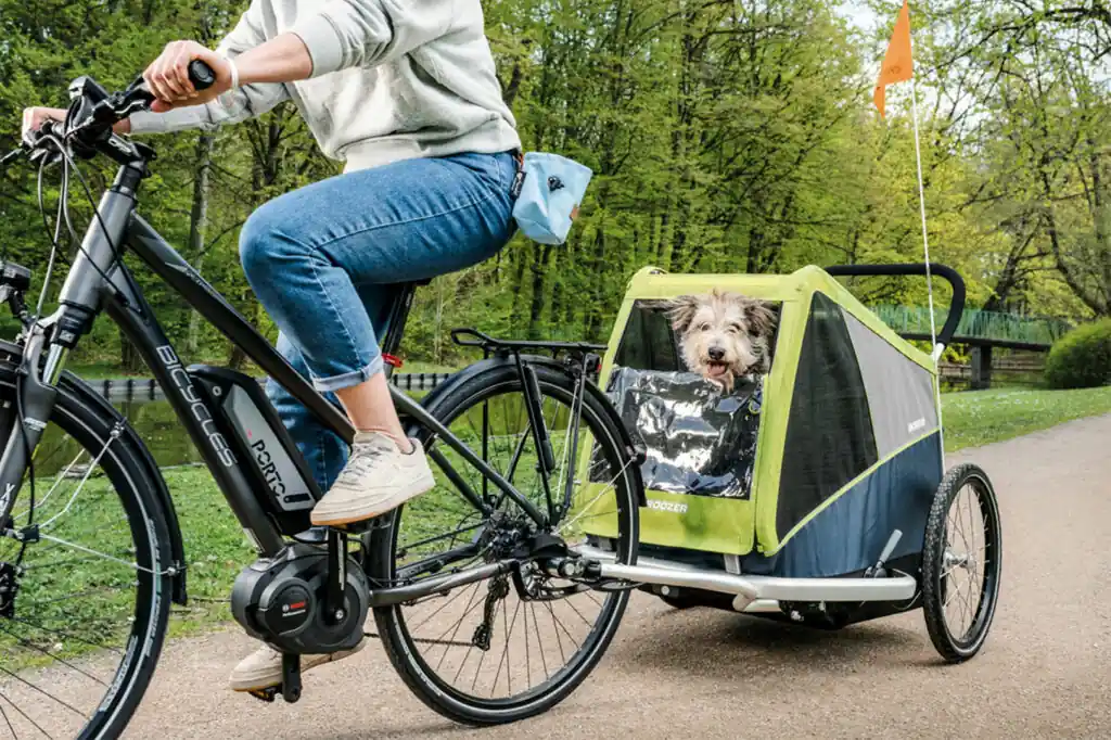  Carry dog on bicycle with Croozer trailer