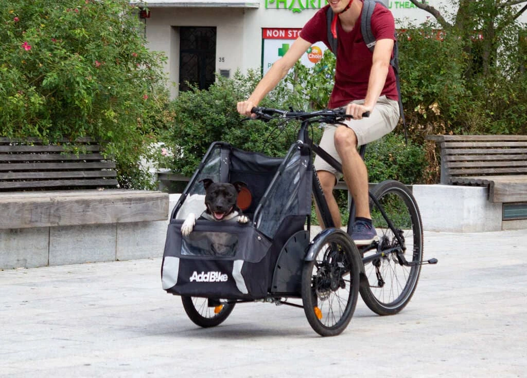 Dreirad Erwachsene unterwegs mit Hund und Rad