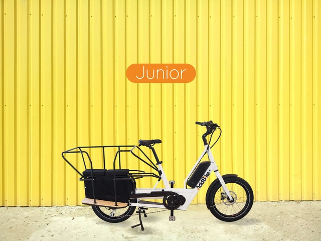 Ein funktionsreiches und wirtschaftliches E Cargo Bike : U-Cargo Junior