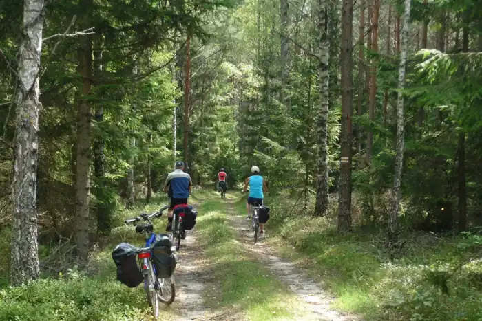Family electric bike: Masuria bike trail