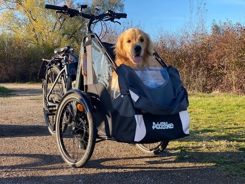 Hundetransport Fahrrad vorne: Für Ihren Urlaub oder im Alltag!