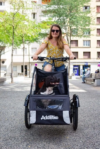 Hundetransport Fahrrad vorne Hund mit Frauchen