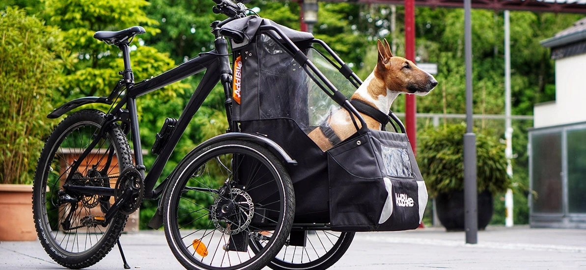 Erwachsenen Dreirad mit Hund im Carry'Dog und Herrchen