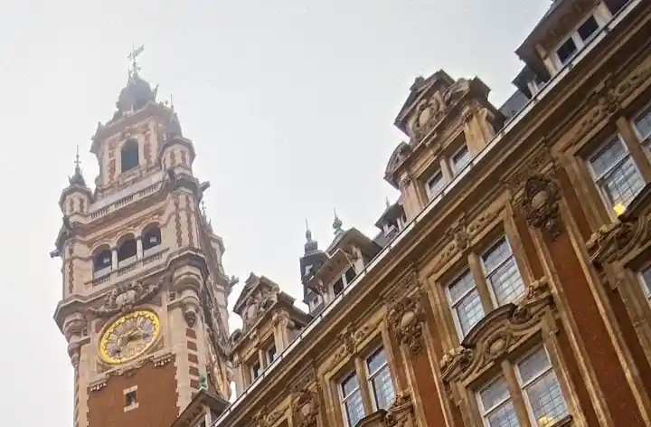 Triporteur Lille : la solution idéale pour vous déplacer en ville