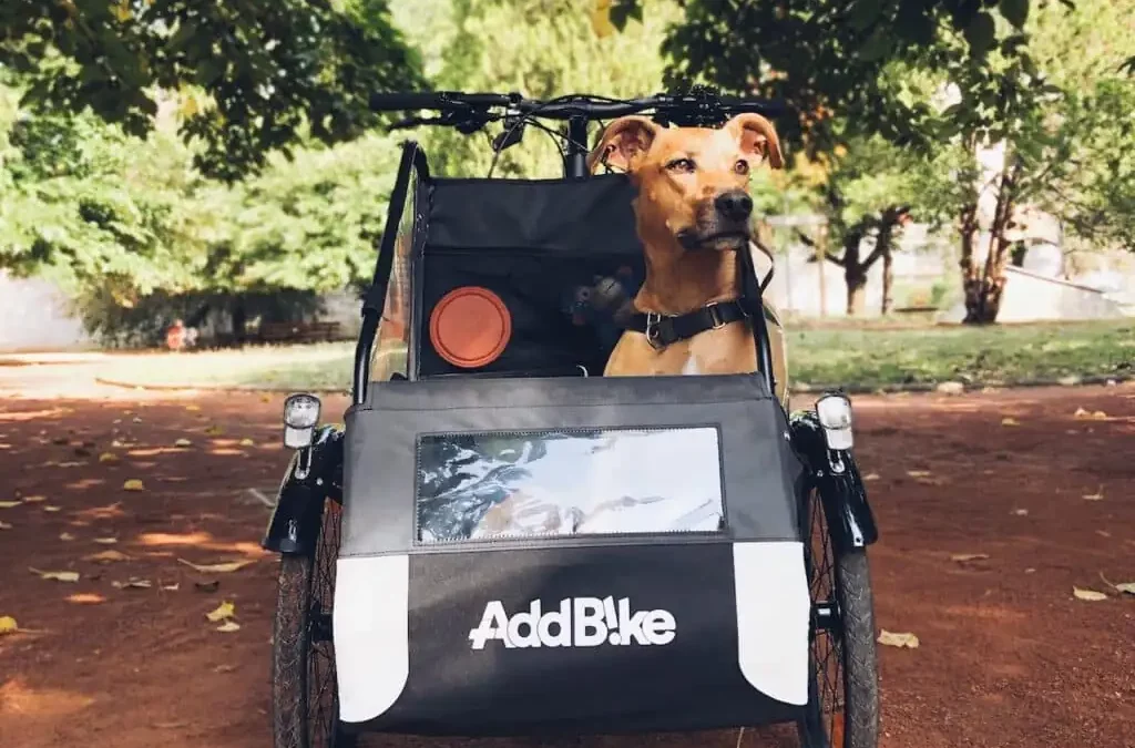 Bike dog carrier: the ultimate guide for cycling with large dogs