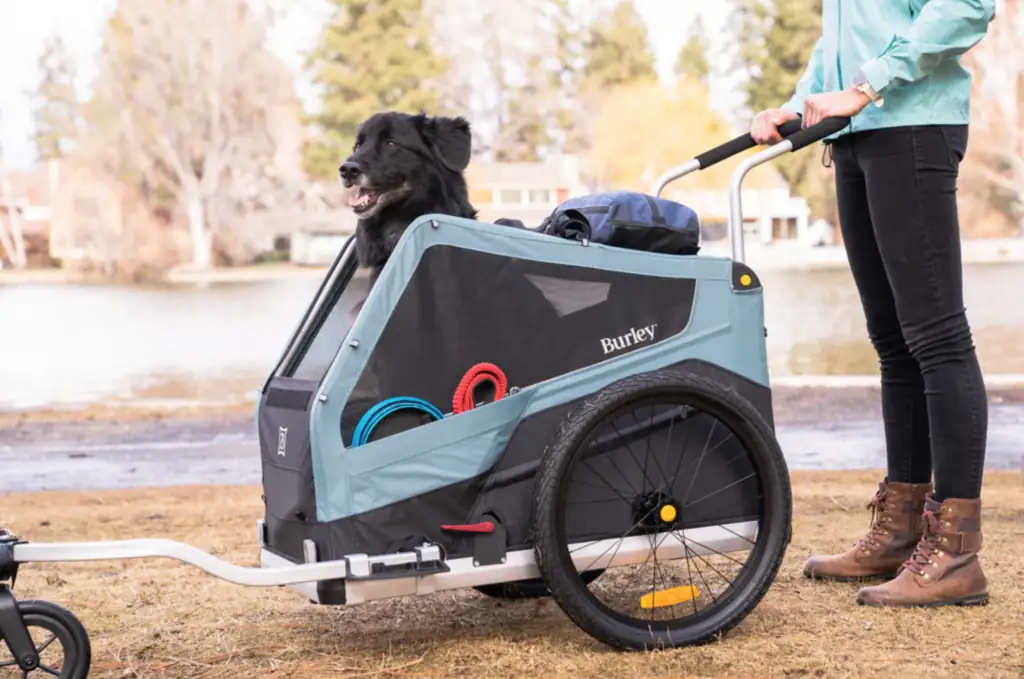 Bike dog carrier: trailer stroller carrying a black dog