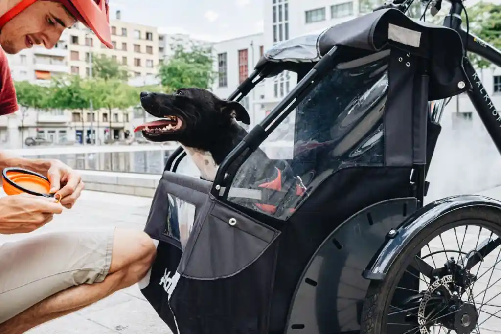 Carry dog on bicycle with the Dog Kit Cargo bike