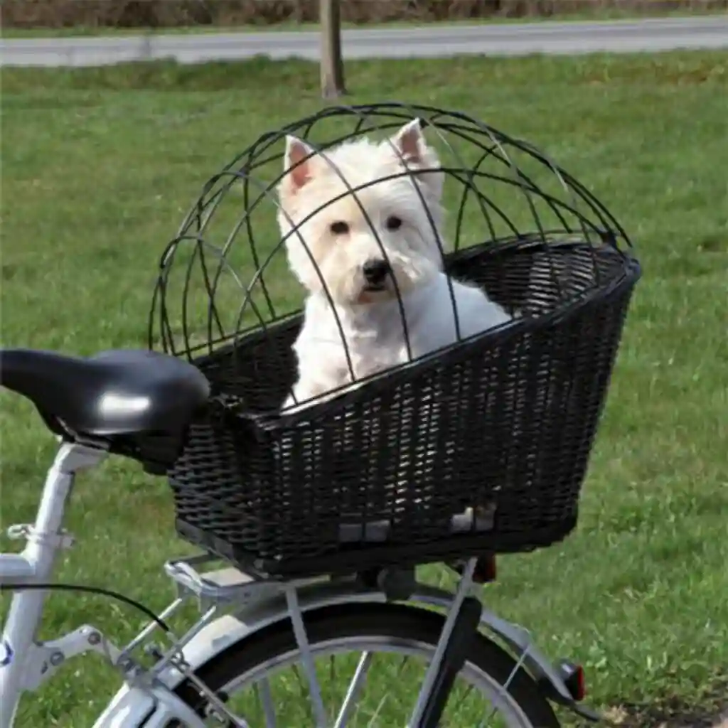 Comment transporter son chien en vélo : petit chien blanc panier avant