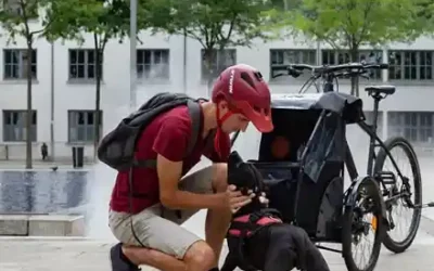 Comment transporter son chien en vélo cargo en toute sécurité ?