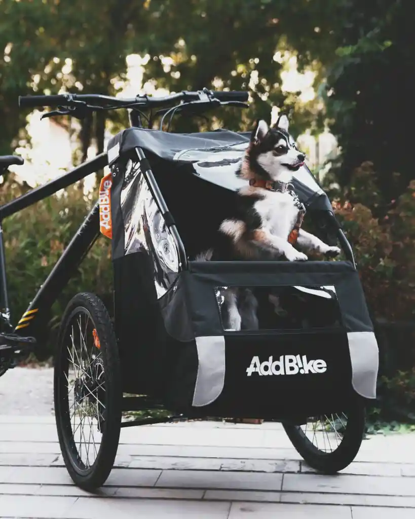 Dog carrier for bikes: small dog on the AddBike+ trike