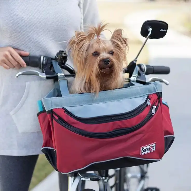Dog carrier for bike: dog in a bike basket in textile