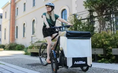 Electric tricycle for adults: a better option than a normal bike?