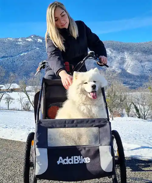 Remorque velo chien : Laurie et son chien avec la Carry'Dog