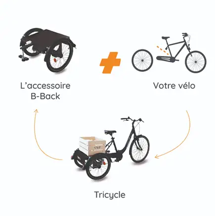 Tricycle handicap : b-back