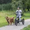 Tricycle électrique_Balades avec son chien