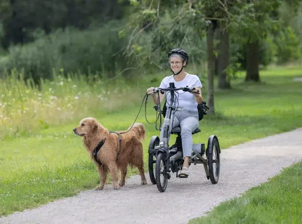 Tricycle électrique_Balades avec son chien