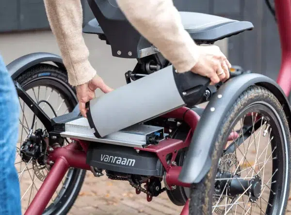 Tricycle électrique_Batterie facile à enlever