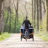 Triporteur électrique_Vue arrière