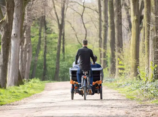 Triporteur électrique_Vue arrière
