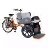 Triporteur électrique_Chat